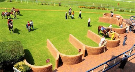 tabgold results and dividends today 2017|Gold Circle Horse Racing And Betting.